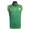 Cameroon 2002 Home Green Retro Jersey