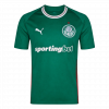 SE Palmeiras 2026 Home Green Jersey