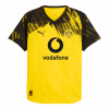Borussia Dortmund 2025/26 Home Yellow Player Version Jersey