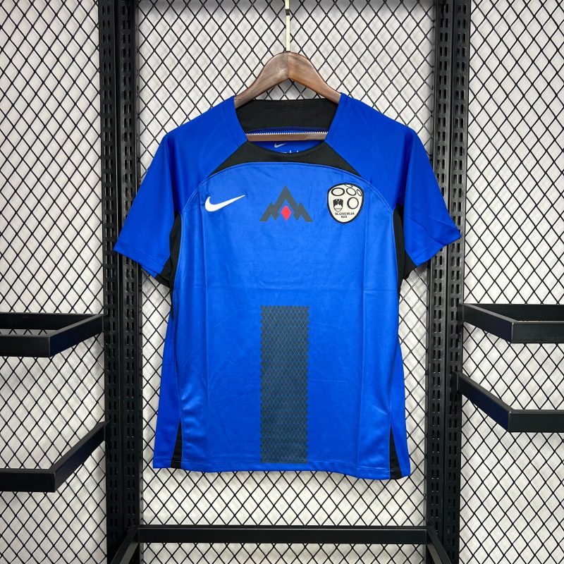 Slovaquie maillot foot 2024/25 Jersey