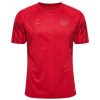 Danemark maillot 2022 2022/23 Jersey