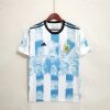 Argentine maillot concept Concept Jersey