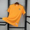 Cameroun maillot foot 2026/27 Jersey