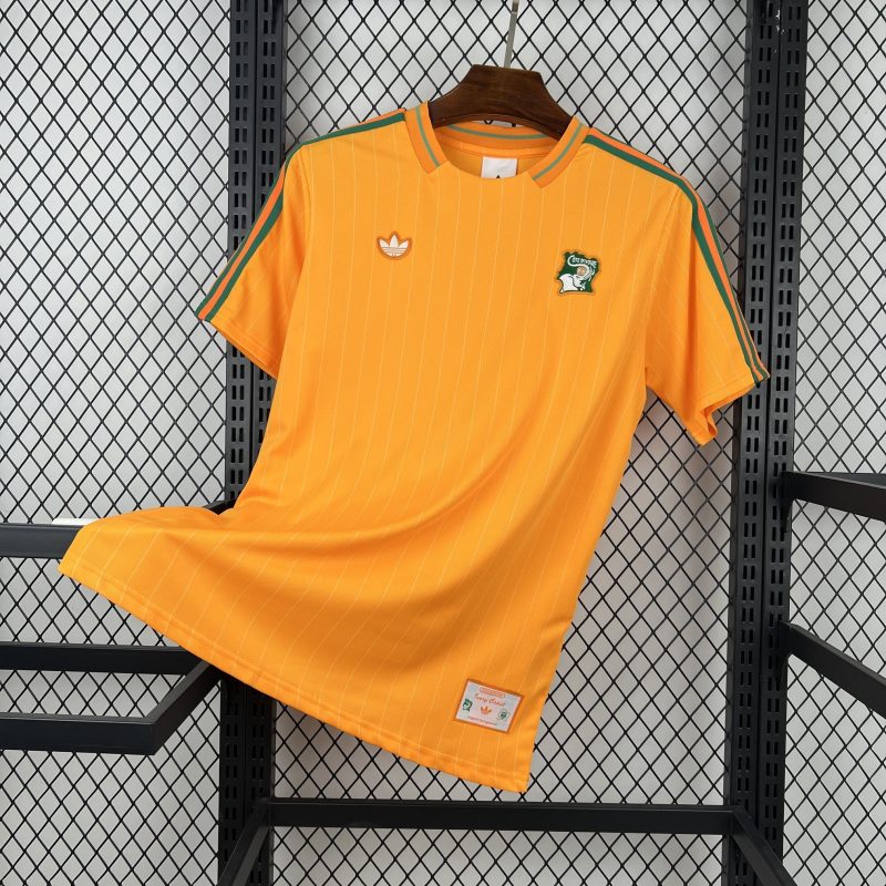 Cameroun maillot foot 2026/27 Jersey