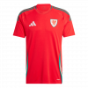 Wales 2024 Home Red Jersey