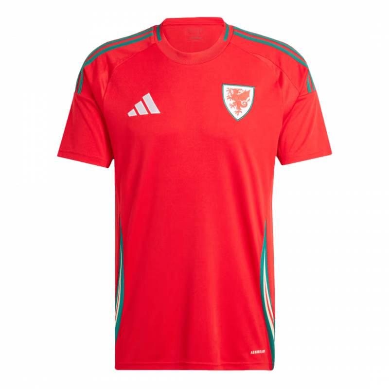 Wales 2024 Home Red Jersey