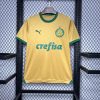 Palmeiras 2024/25 Third Jersey