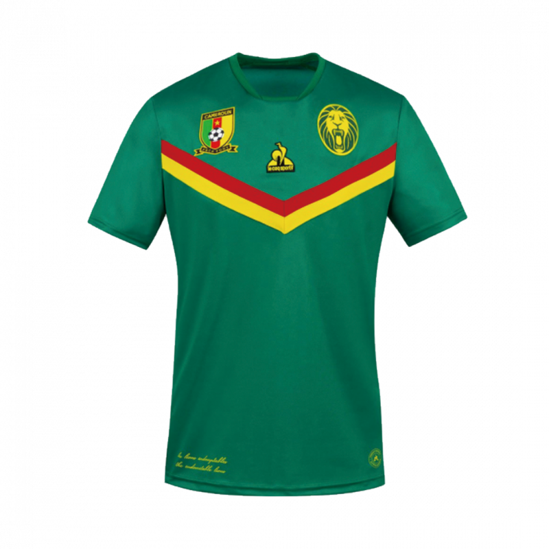 Cameroon 2021 Home Green Jersey
