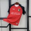 Palestine 2025/26 Jersey