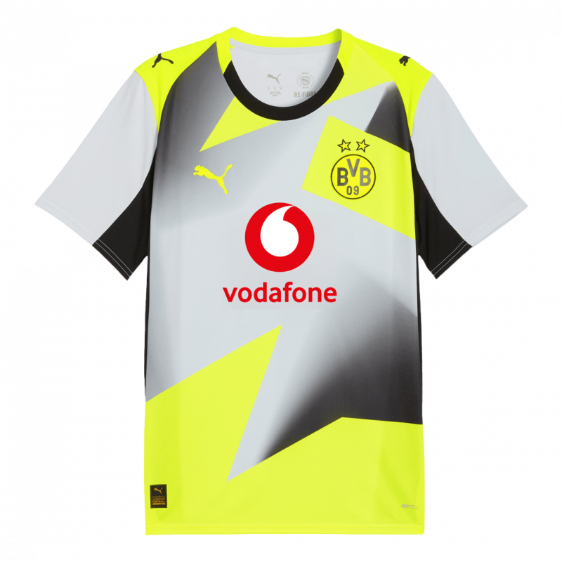 Borussia Dortmund 2025/26 Away Grey Jersey