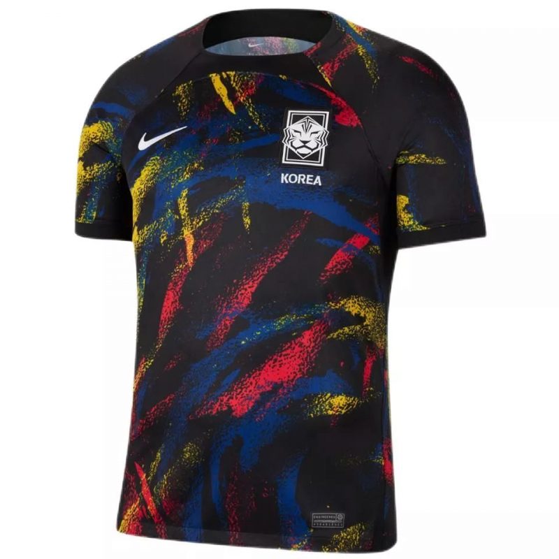 Maillot Coree du 2022 Jersey
