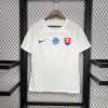 Slovaquie maillot foot 2024/25 Away Jersey