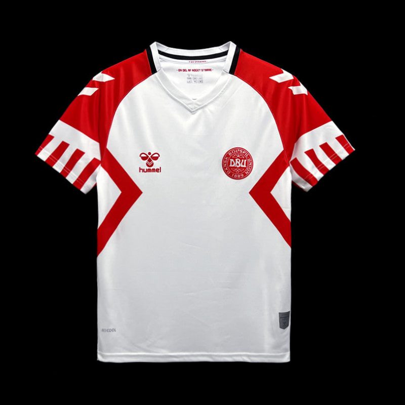 Danemark maillot 2023 2023/24 Jersey
