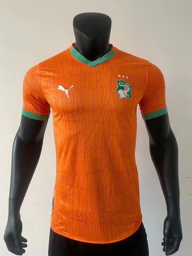 Cote d'Ivoire maillot 2024/25 Home Jersey