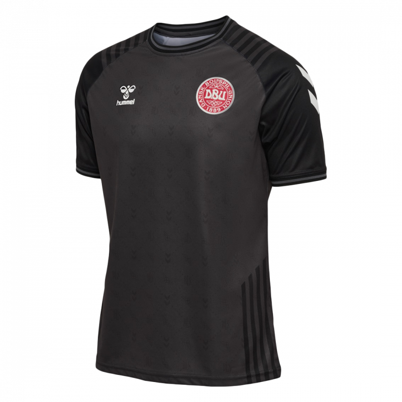Denmark 2022 Black Jersey