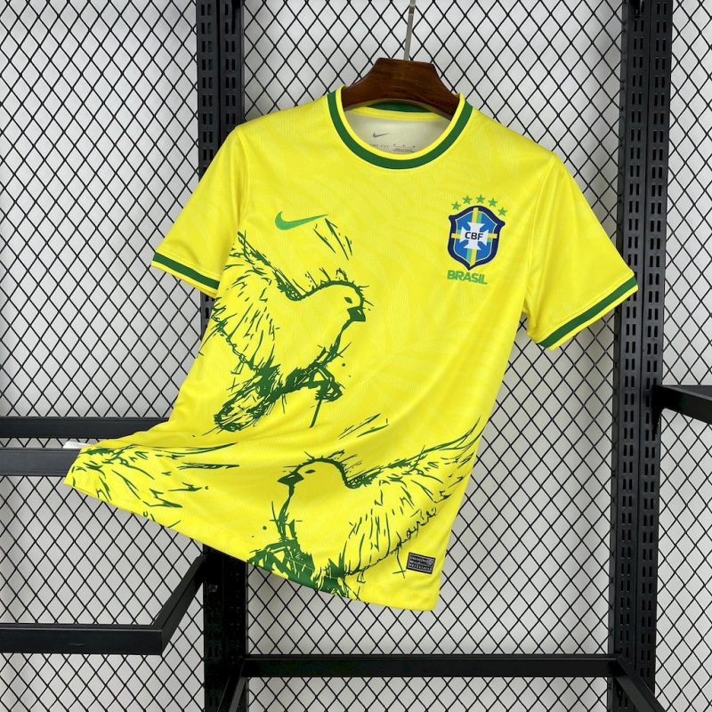 Brazil 2025/26 Concept Jersey