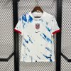 Norvege maillot foot 2024/25 Away Jersey