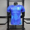 Brazil 2025/26 Away Jersey