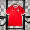 Danemark maillot foot 2024/25 Jersey