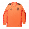 Spain 2020 Goalkeeper Pink Long Sleeve Goalkeeper Jersey